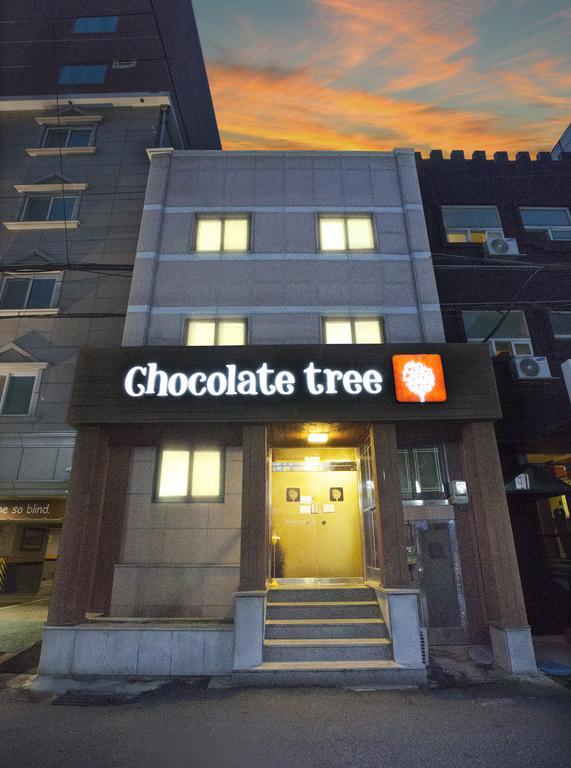 首爾 巧克力树青年旅馆酒店 外观 照片